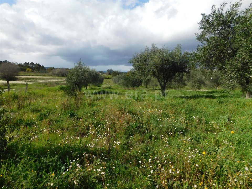 Landejendom i Fundao, Castelo Branco - foto 1