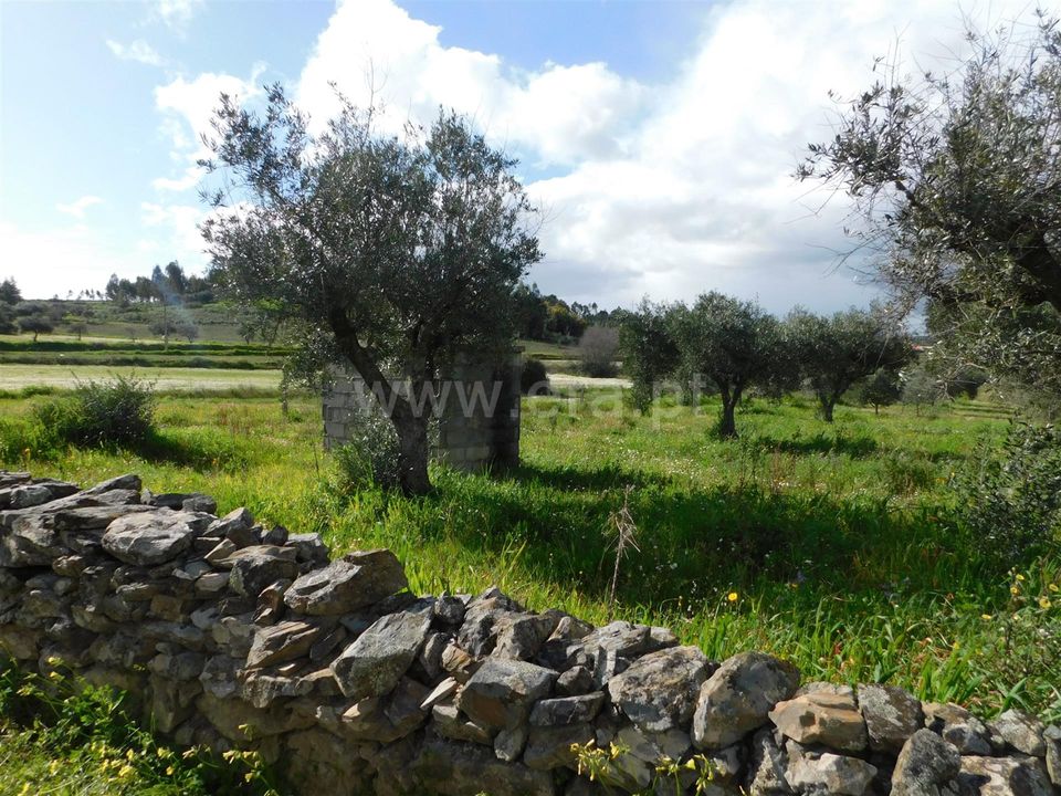 Landejendom i Fundao, Castelo Branco - foto 2