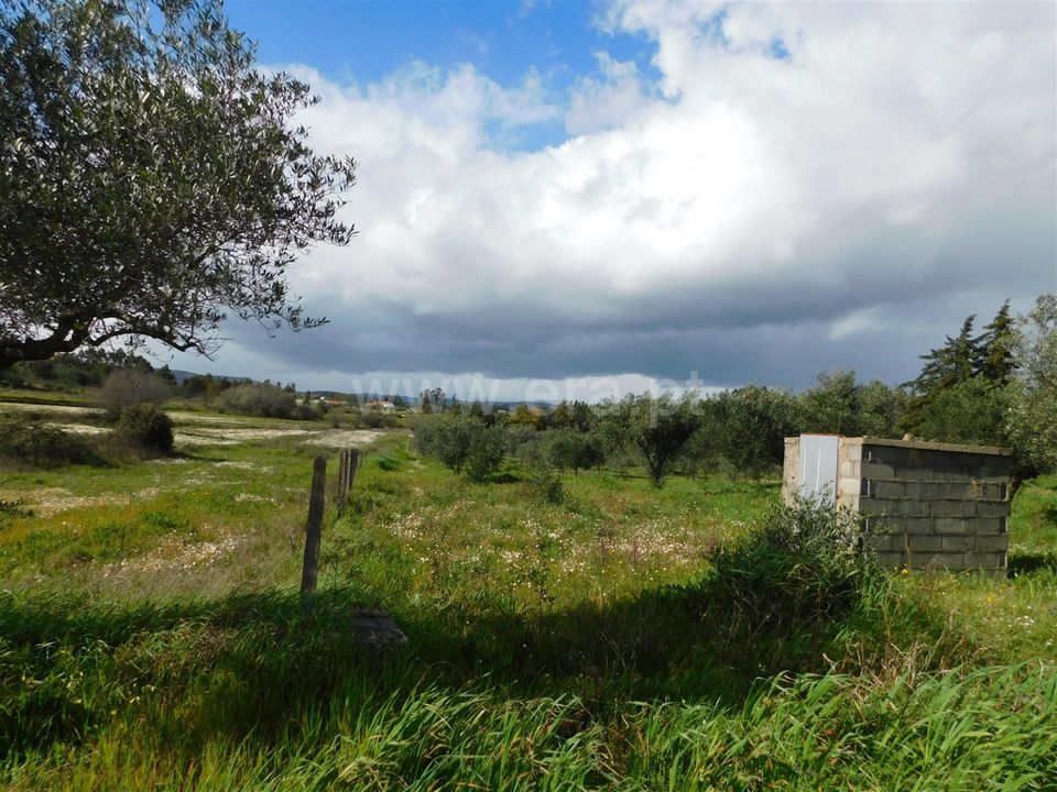 Landejendom i Fundao, Castelo Branco - foto 3