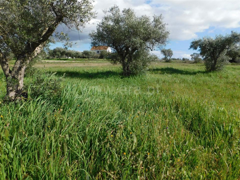 Landejendom i Fundao, Castelo Branco - foto 4