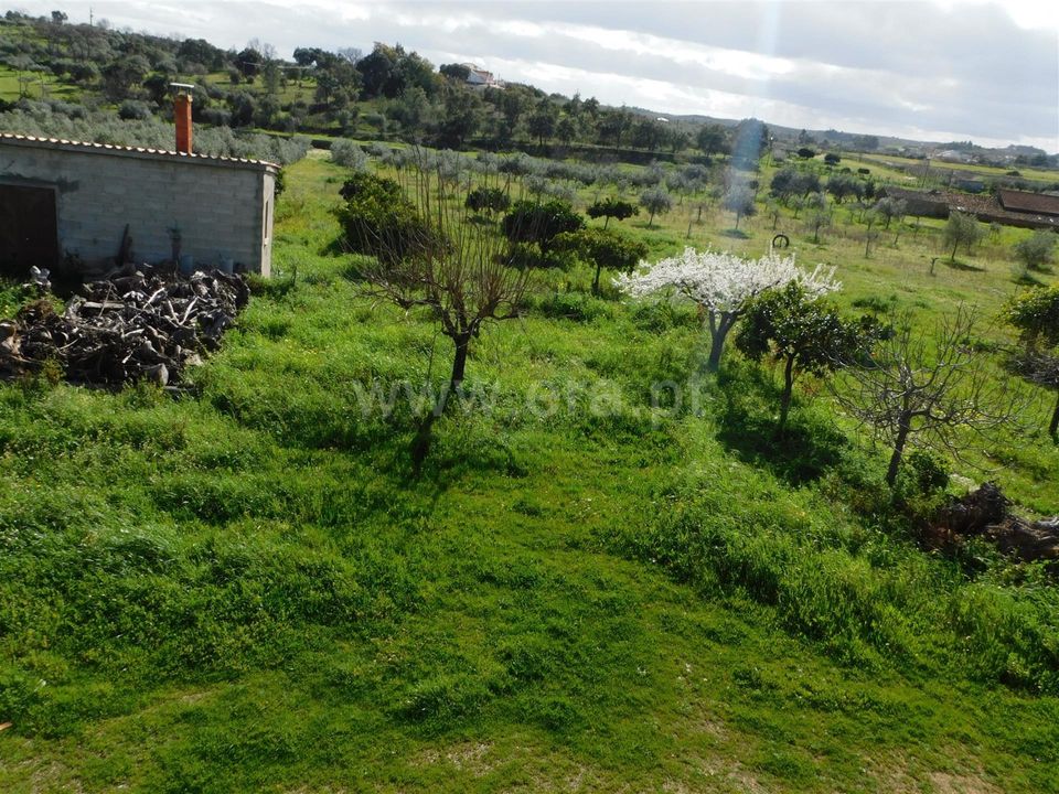 Gård i Fundao, Castelo Branco - bilde 2