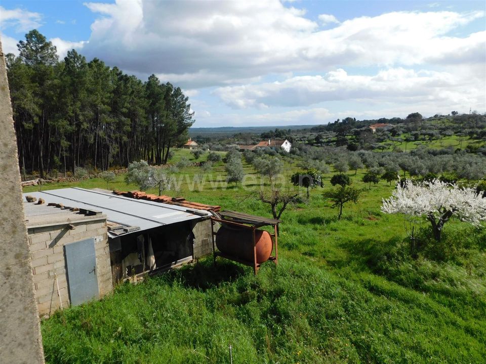 Gård i Fundao, Castelo Branco - bilde 3