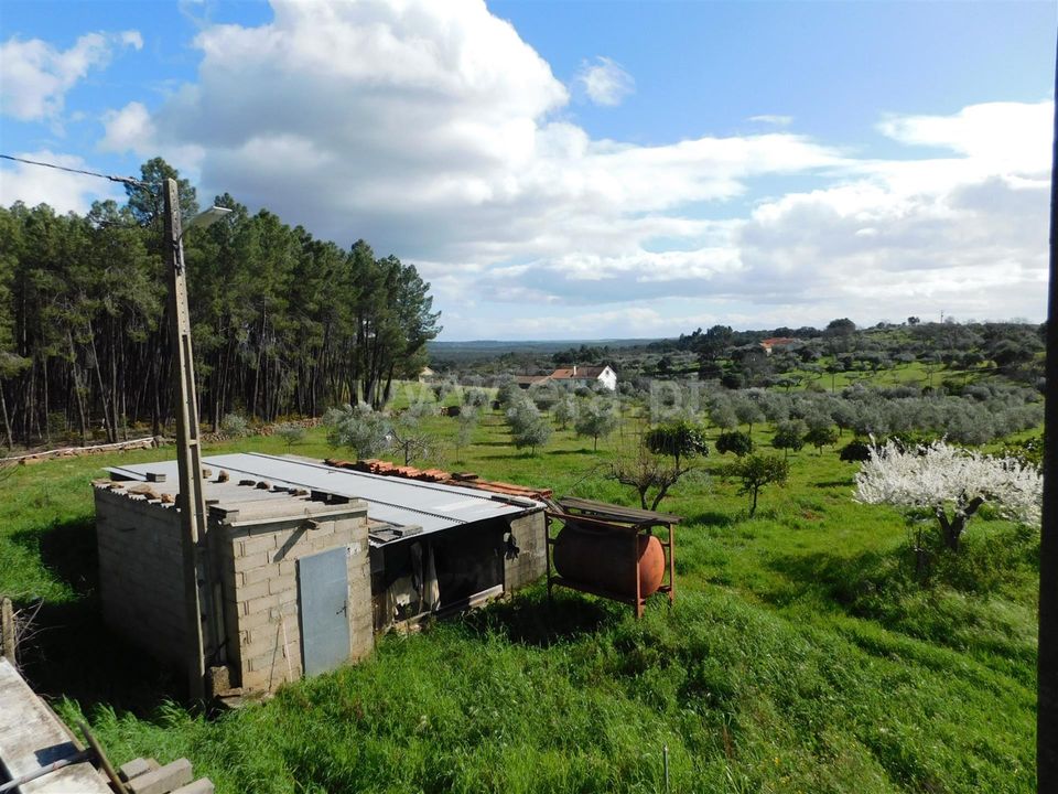 Gård i Fundao, Castelo Branco - bilde 5