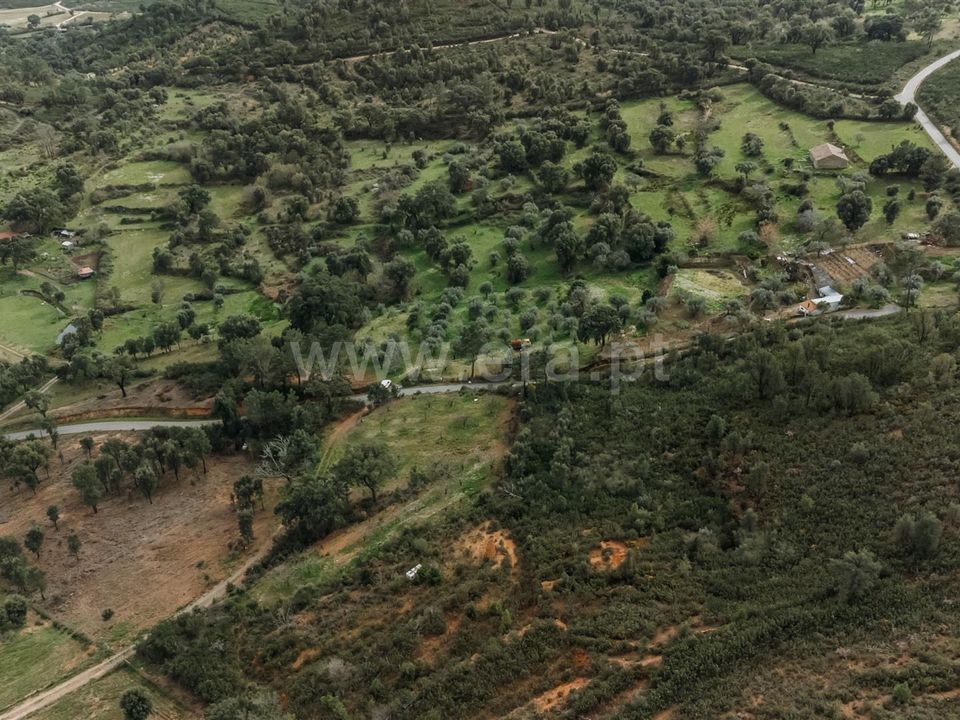 Helårsgrund i Fundao, Castelo Branco - foto 3