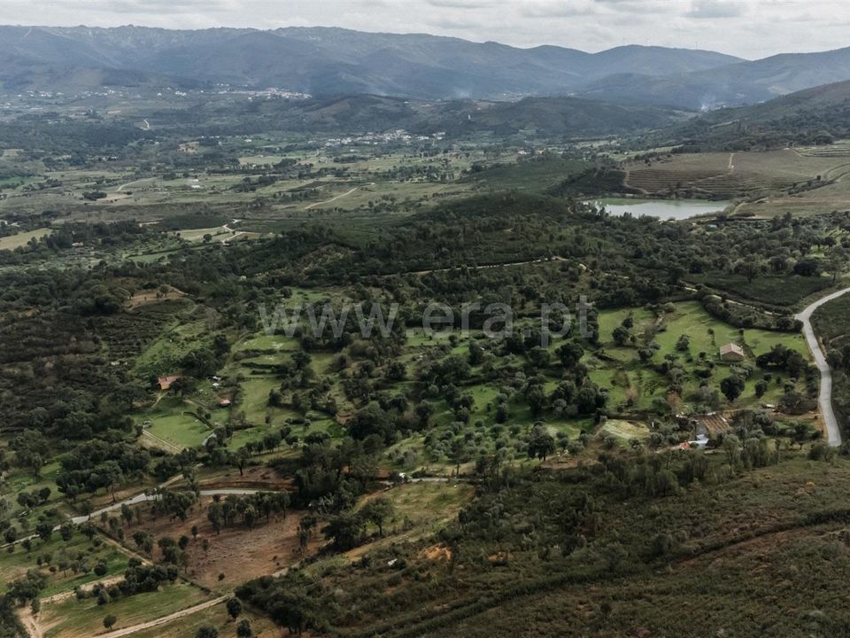 Helårsgrund i Fundao, Castelo Branco - foto 4