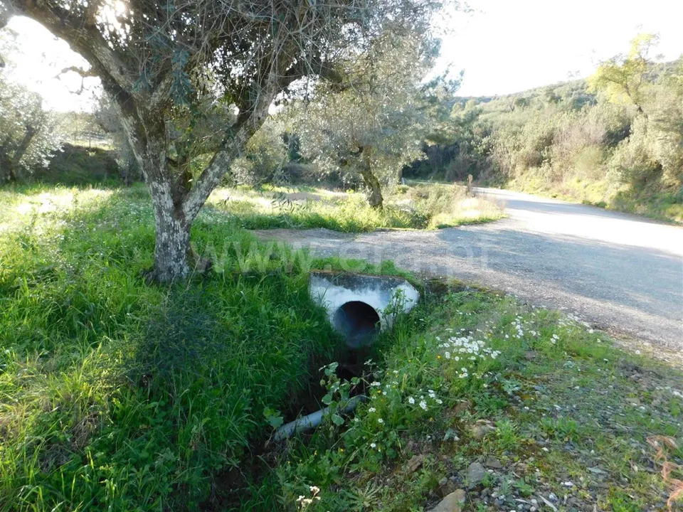 Helårsgrund i Fundao, Castelo Branco - foto 2