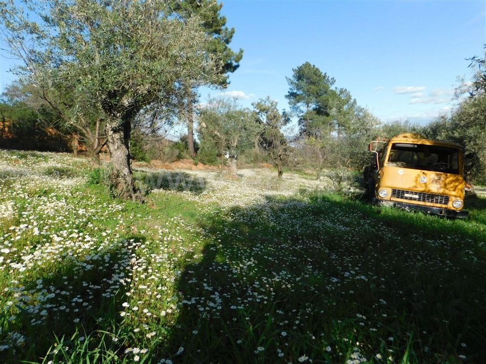 Tomt i Fundao, Castelo Branco - bilde 4