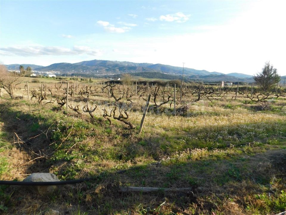 Helårsgrund i Fundao, Castelo Branco - foto 3