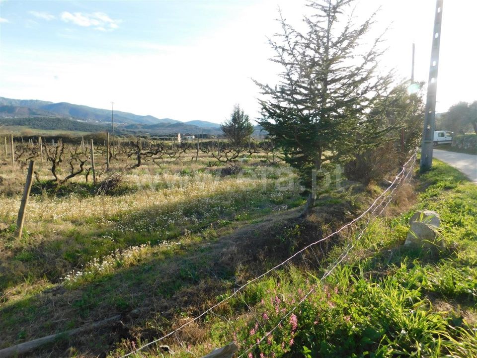 Helårsgrund i Fundao, Castelo Branco - foto 5