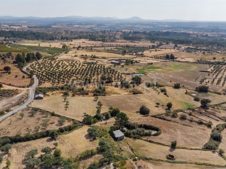 Landejendom i Fundao, Castelo Branco - foto 5