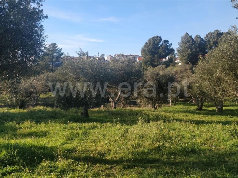 Tomt i Covilha, Castelo Branco - bilde 1