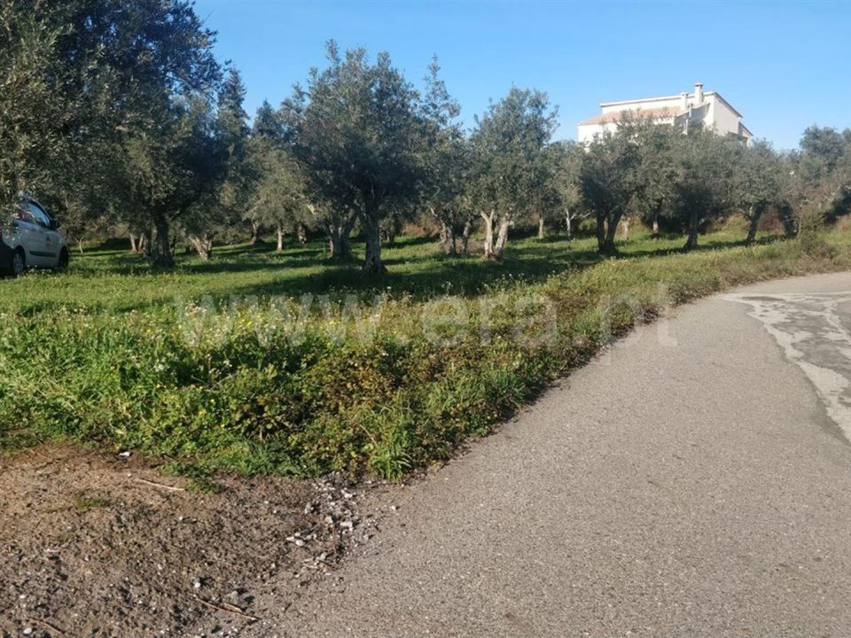 Tomt i Covilha, Castelo Branco - bilde 4