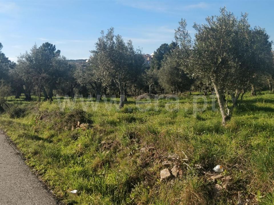 Tomt i Covilha, Castelo Branco - bilde 5