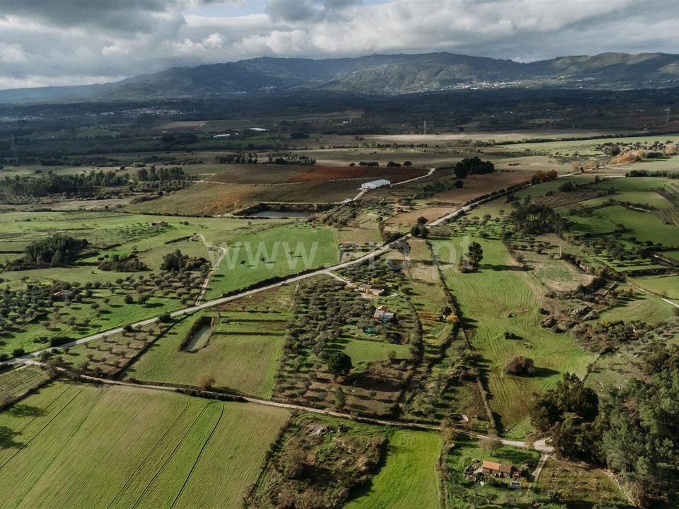 Herregård i Fundao, Castelo Branco - bilde 5