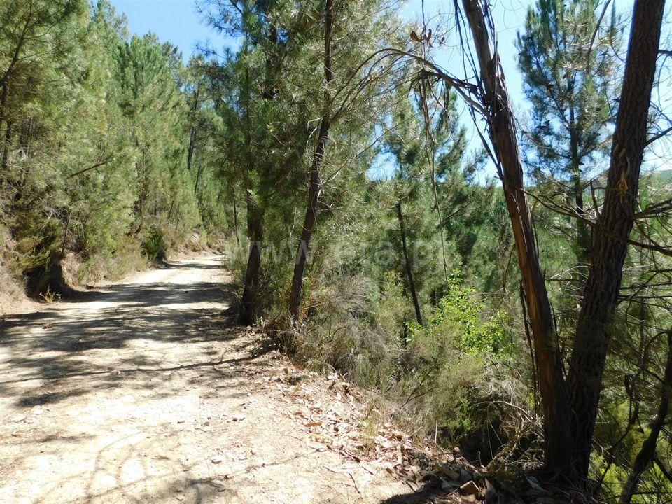 Helårsgrund i Fundao, Castelo Branco - foto 2