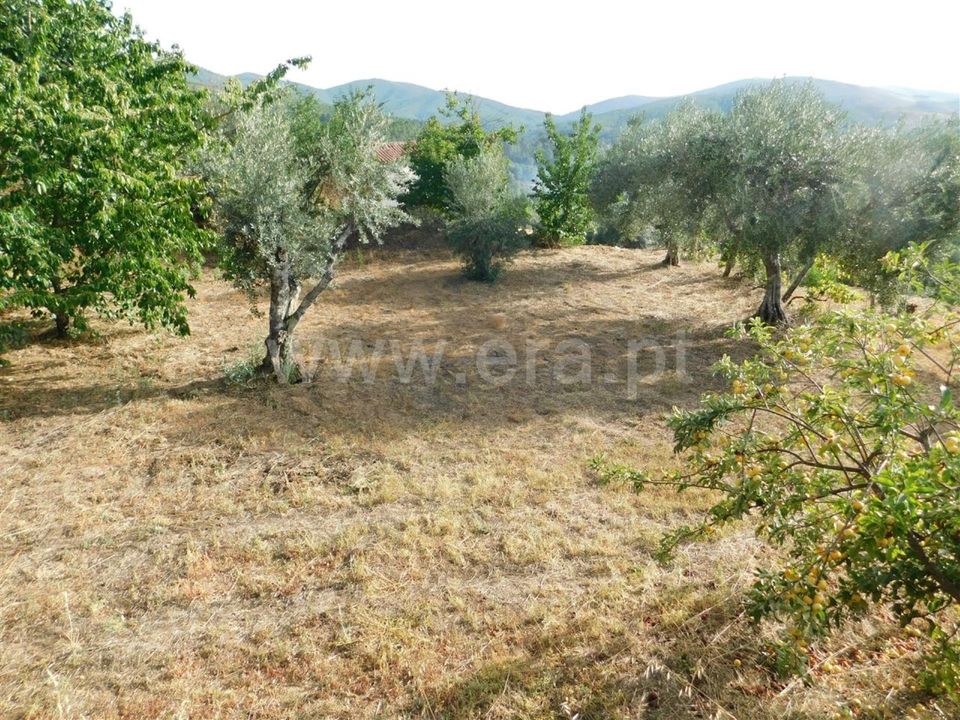 Landejendom i Fundao, Castelo Branco - foto 1