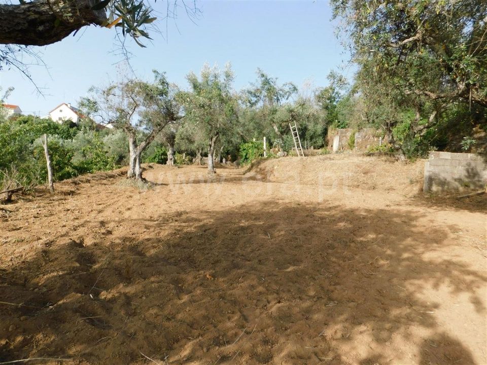 Landejendom i Fundao, Castelo Branco - foto 2