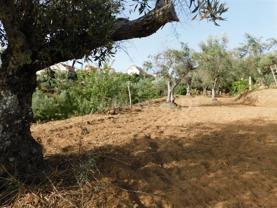 Landejendom i Fundao, Castelo Branco - foto 3