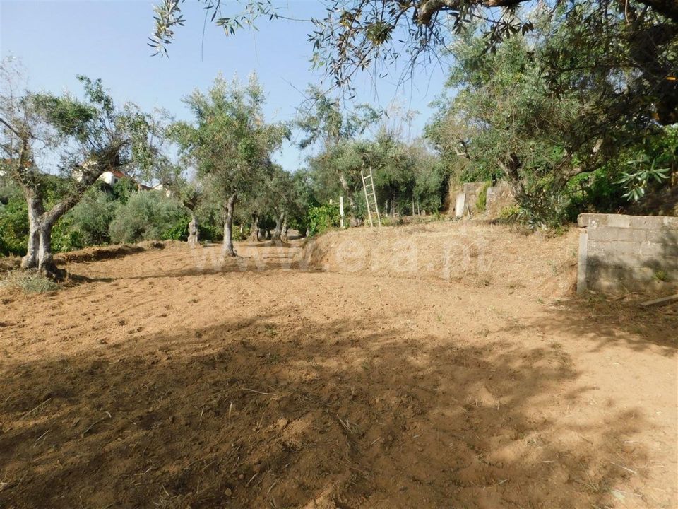 Landejendom i Fundao, Castelo Branco - foto 4