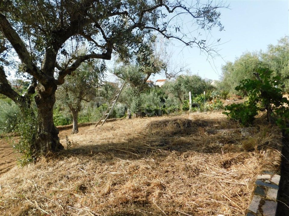 Landejendom i Fundao, Castelo Branco - foto 5