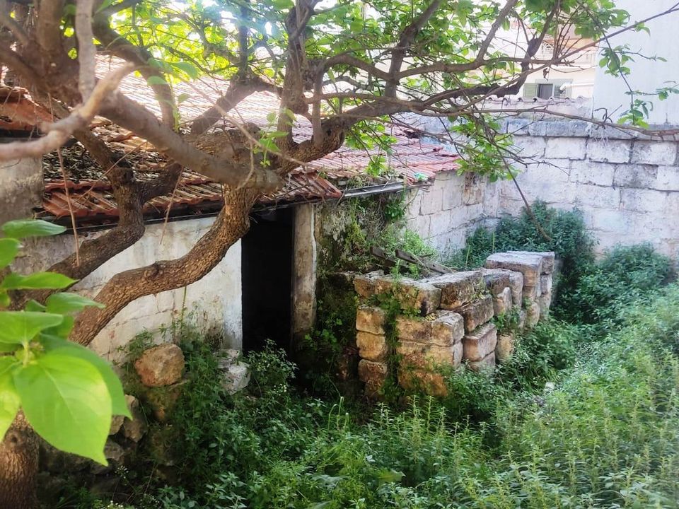 Villa i Sammichele di Bari, Bari - foto 1