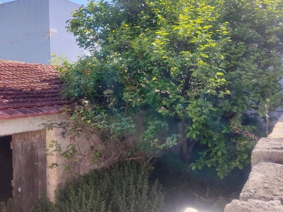 Villa i Sammichele di Bari, Bari - foto 2