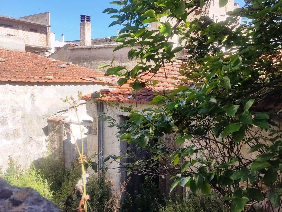 Villa i Sammichele di Bari, Bari - foto 3