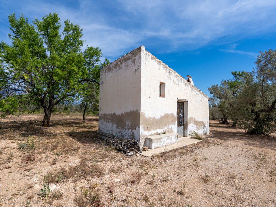 Finca a Mas De Barberans, Tarragona - foto 2