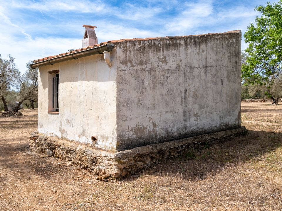 Finca a Mas De Barberans, Tarragona - foto 4