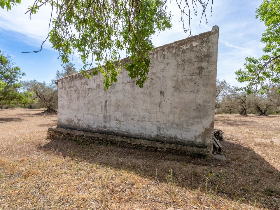 Finca a Mas De Barberans, Tarragona - foto 3