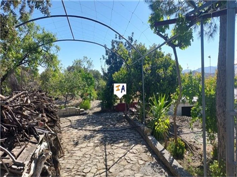 Cortijo i Aldea Ermita Nueva, Jaen - foto 5