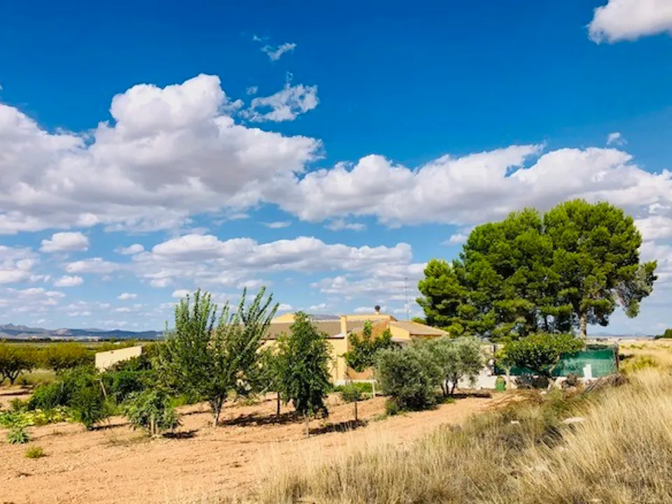 Landejendom i Yecla, Murcia - foto 3