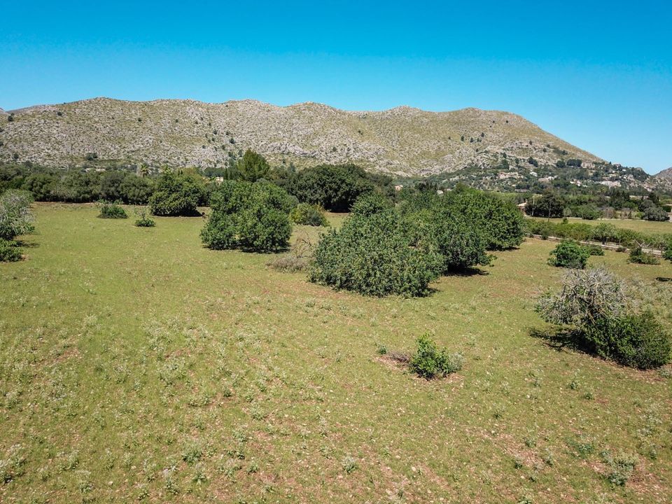 Helårsgrund i Pollenca, Mallorca - foto 1