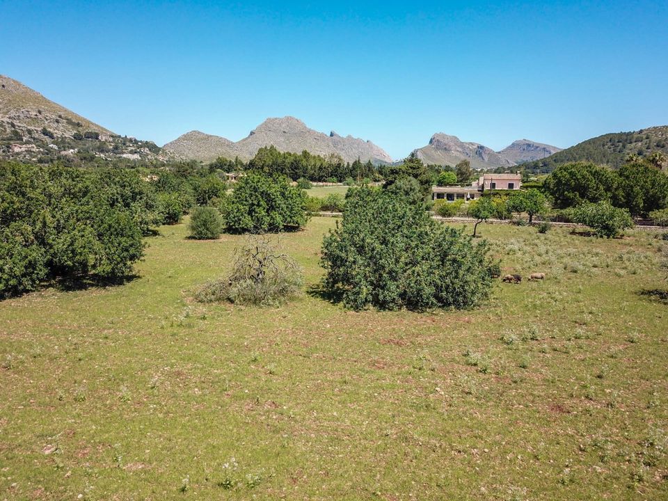 Helårsgrund i Pollenca, Mallorca - foto 2