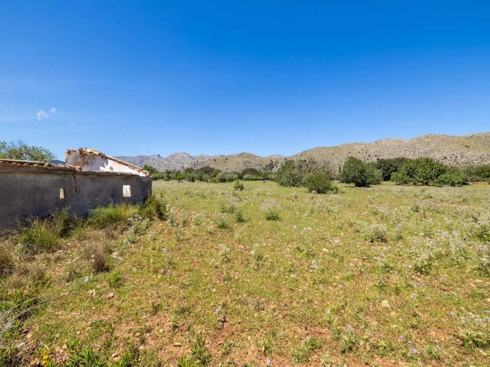 Helårsgrund i Pollenca, Mallorca - foto 4