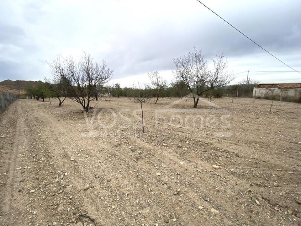 Helårsgrund i Huercal-Overa, Almeria - foto 4