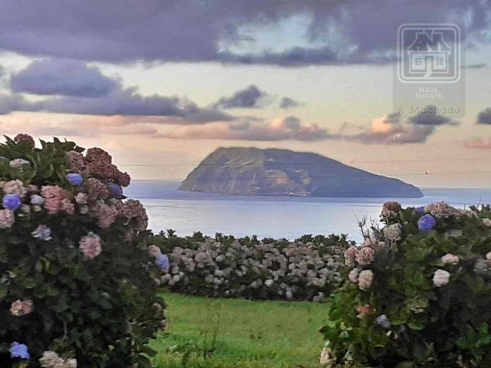 Villa Cedros, Faial - foto 4