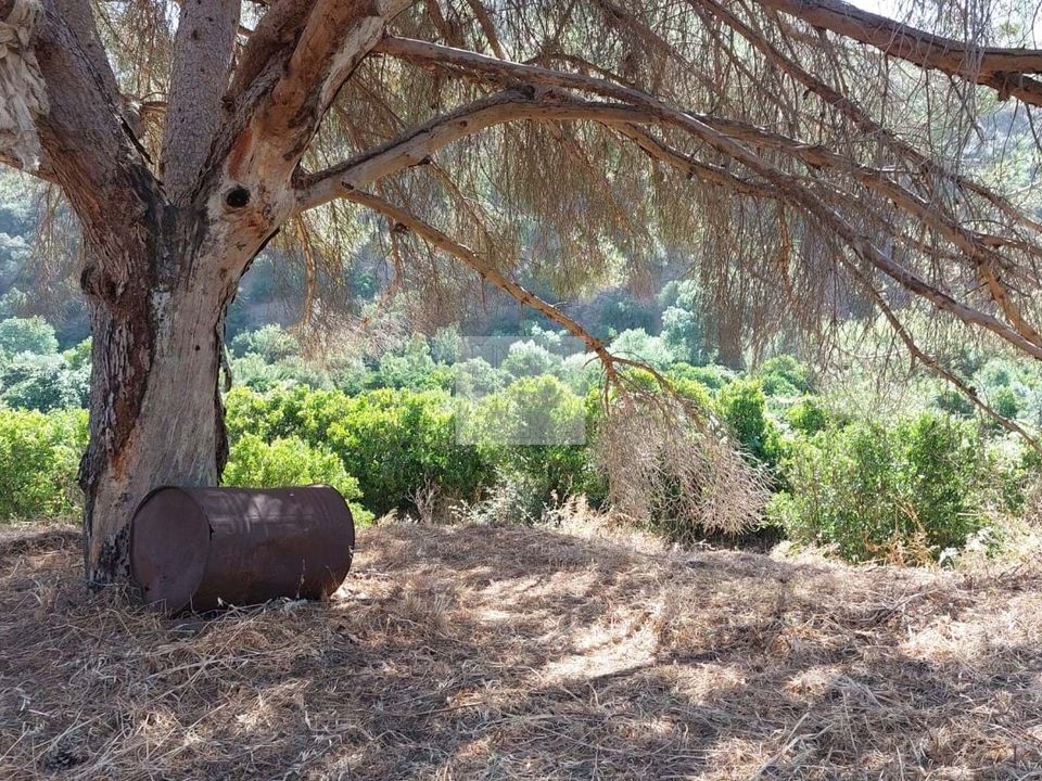 Farm hus i Monchique, Faro - foto 2