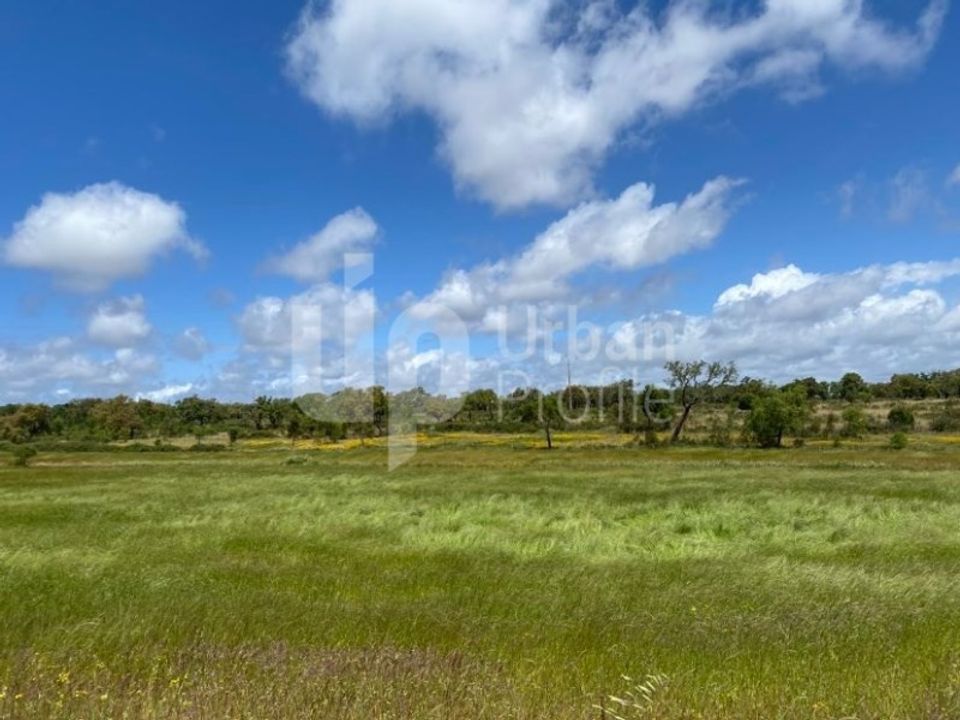 Tomt i Cercal do Alentejo, Setubal - bilde 1