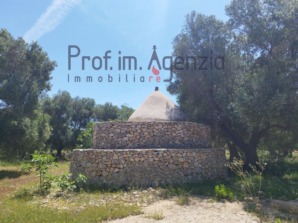 Landejendom i Carovigno, Brindisi - foto 1