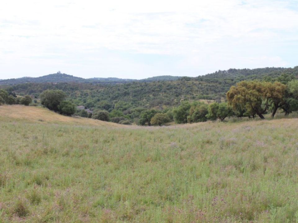 Masia a Borba, Evora - foto 1