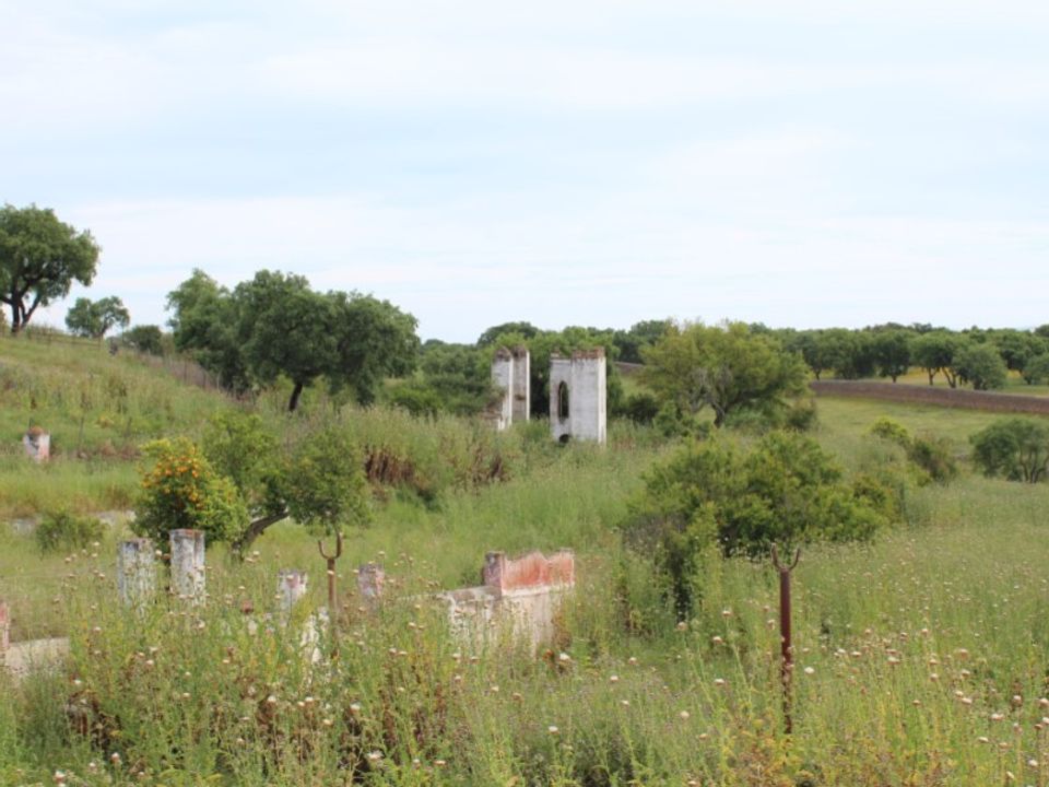 Masia a Borba, Evora - foto 5