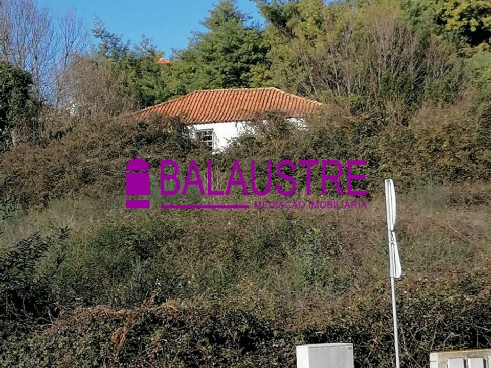 Helårsgrund i Lamego, Viseu - foto 3
