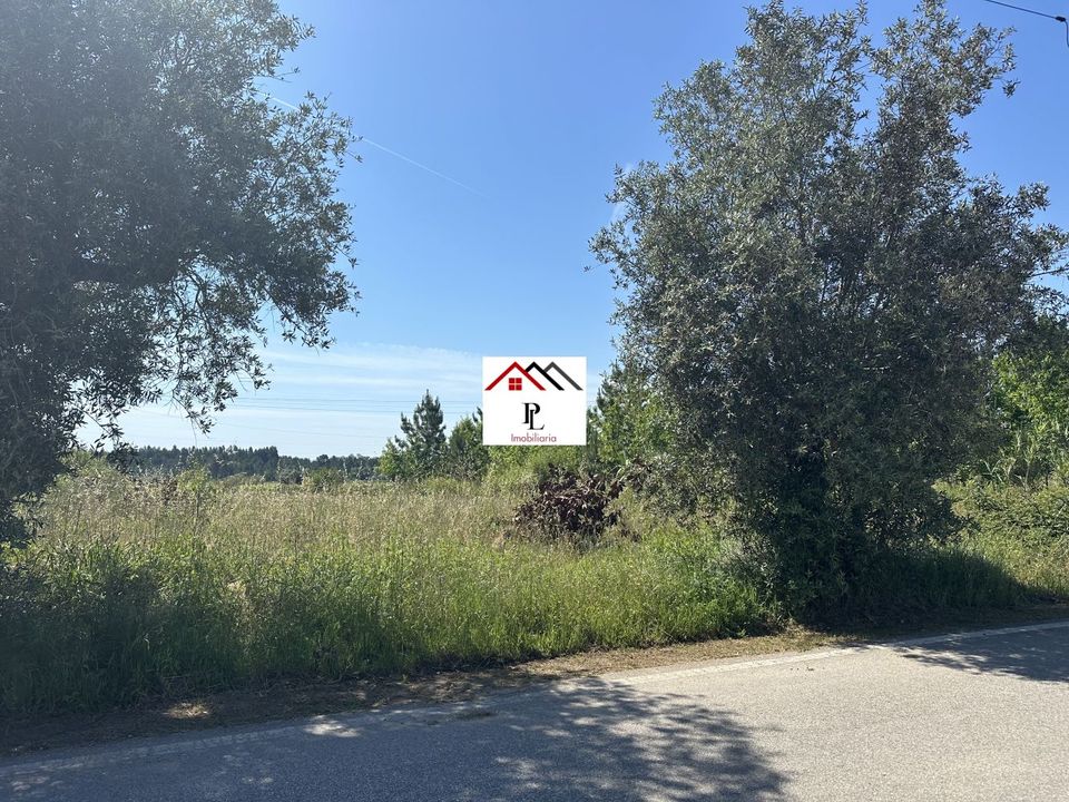 Helårsgrund i Anadia, Aveiro - foto 1