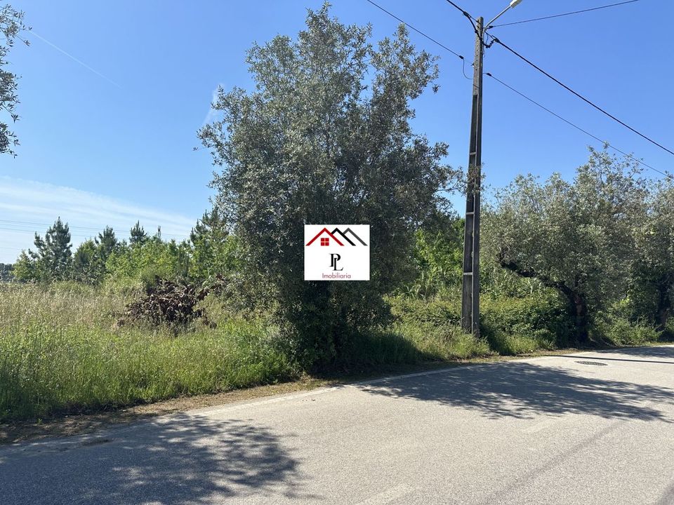 Helårsgrund i Anadia, Aveiro - foto 2