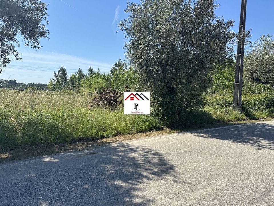Helårsgrund i Anadia, Aveiro - foto 3