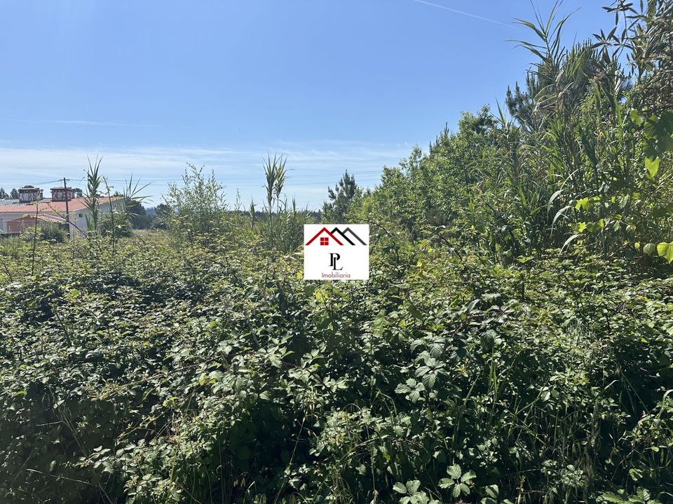 Helårsgrund i Anadia, Aveiro - foto 5