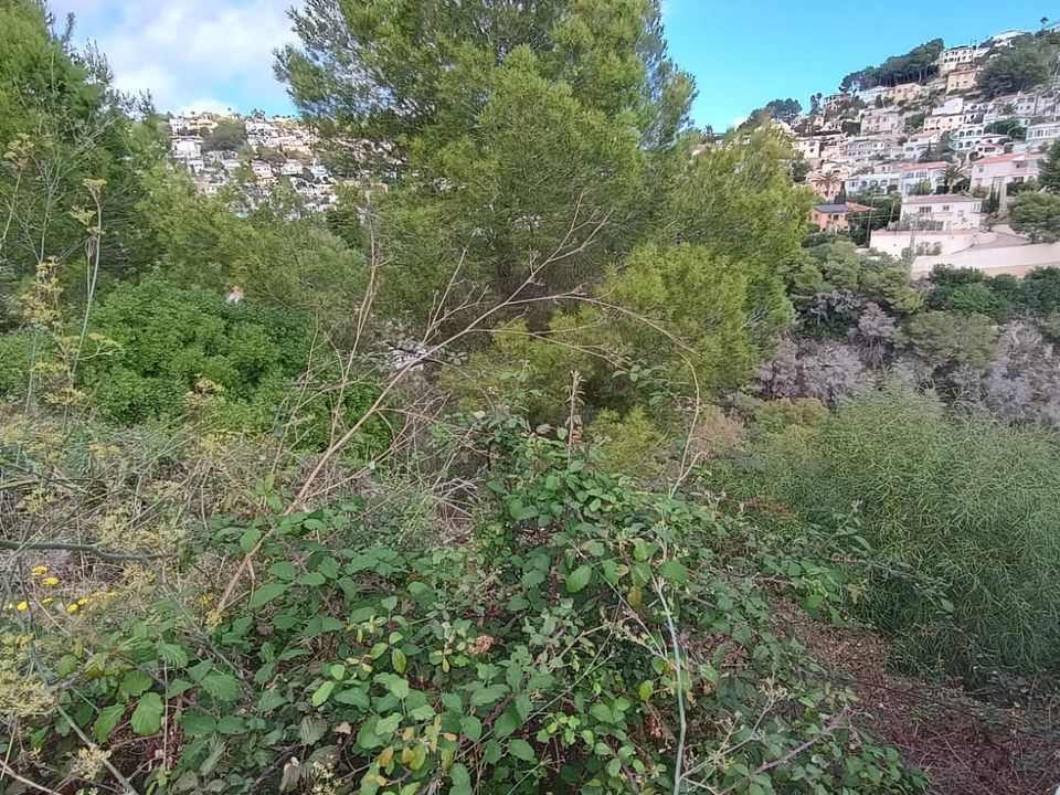 Helårsgrund i Benissa, Alicante - foto 5