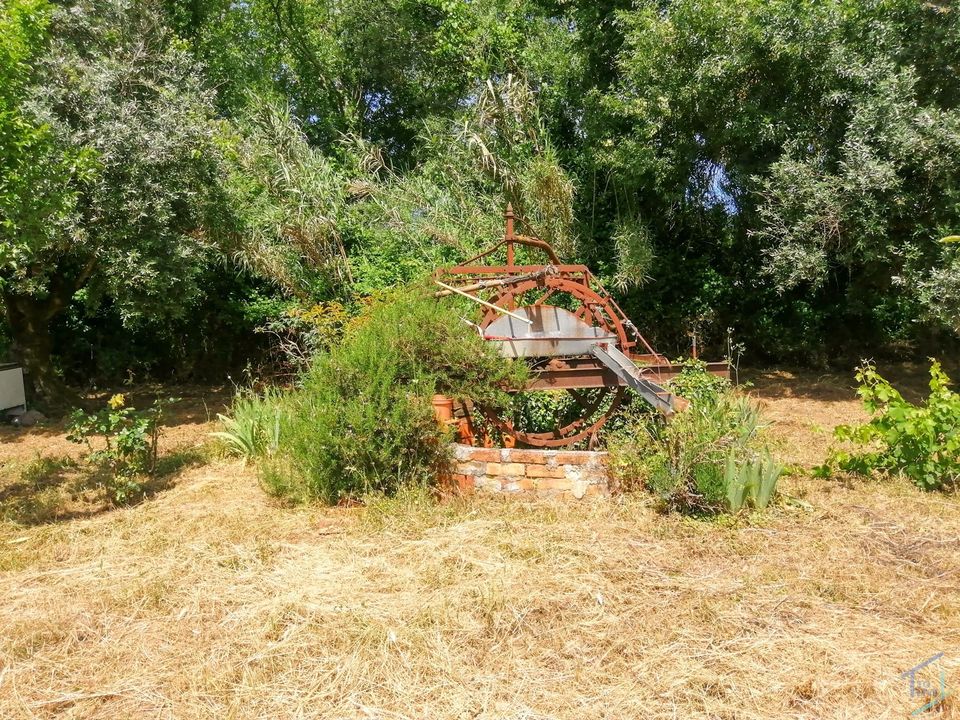 Helårsgrund i Tomar, Santarem - foto 1