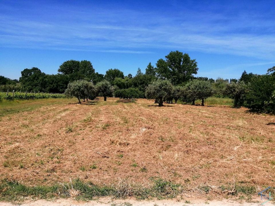 Helårsgrund i Tomar, Santarem - foto 2